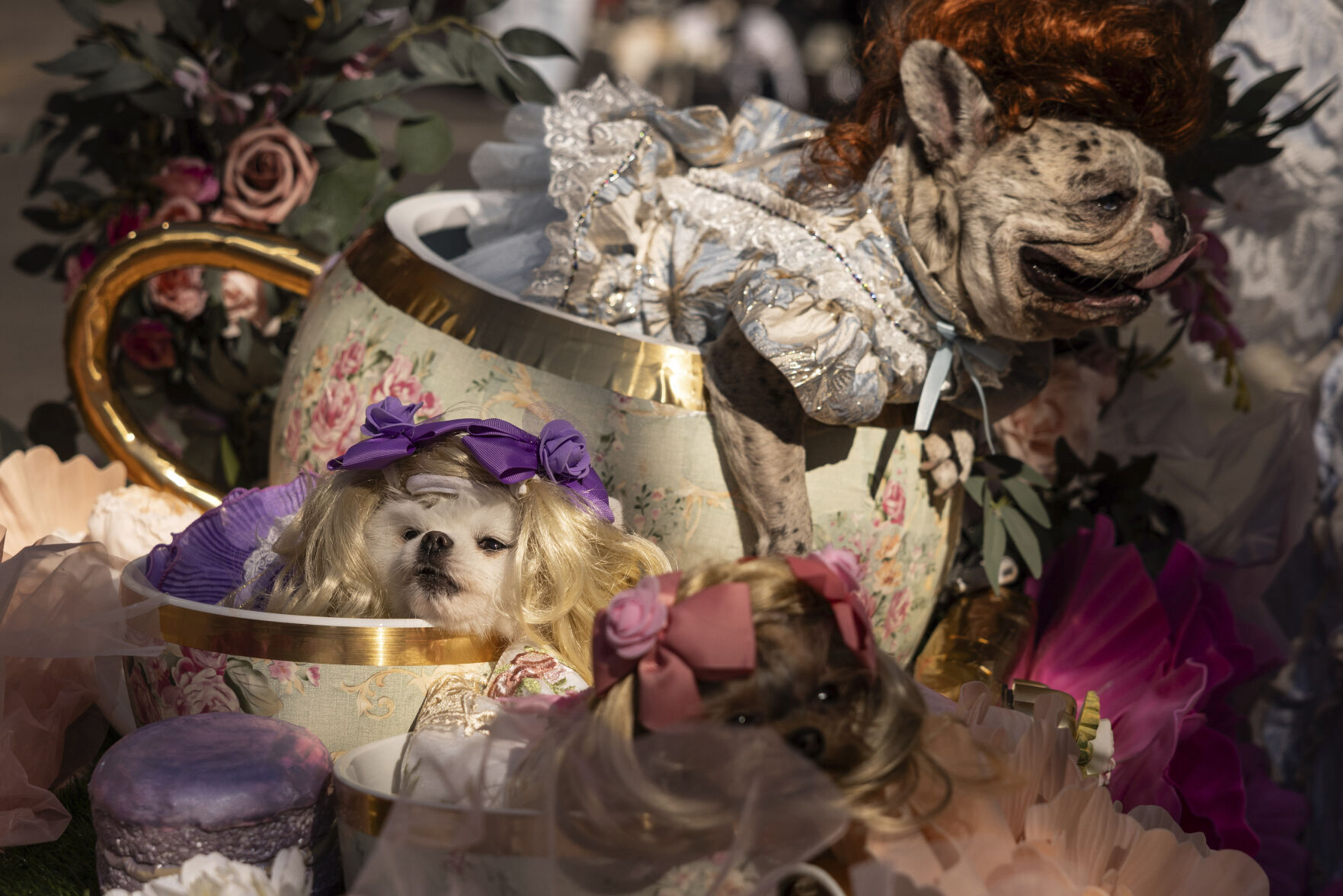 NYC Halloween Dog Parade